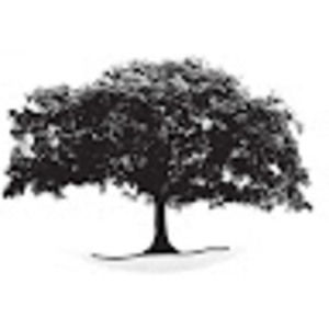 Meet your Posher, Braddock